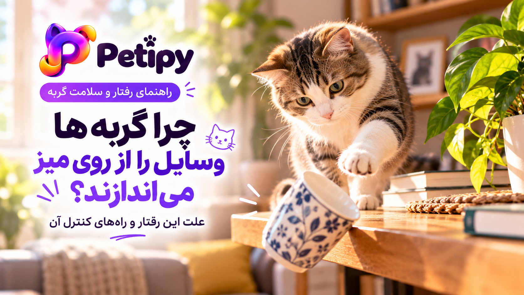 چرا گربه وسایل را می‌اندازد؟ علت و روش جلوگیری