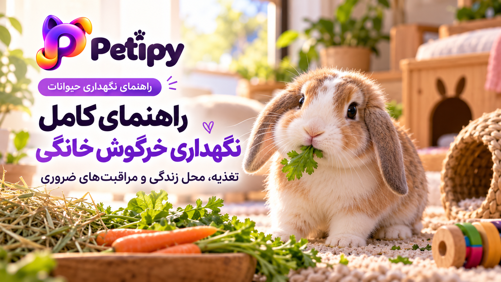 راهنمای نگهداری خرگوش خانگی؛ غذا، محل زندگی و سلامت