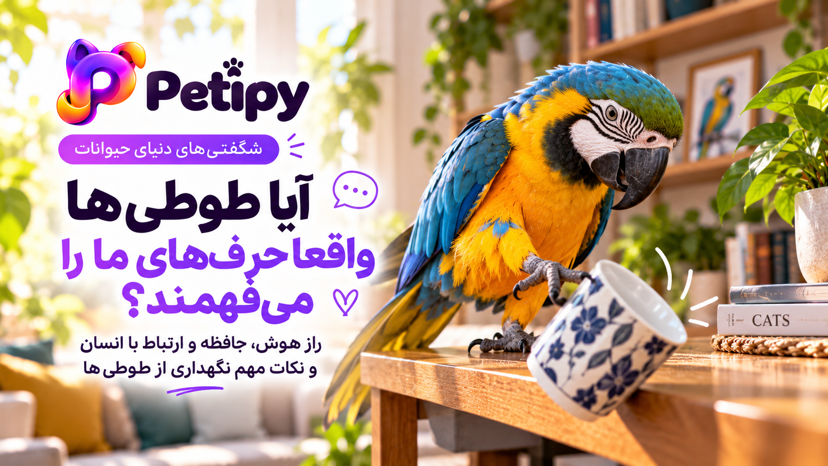 آیا طوطی‌ها حرف انسان را می‌فهمند؟ راز هوش طوطی